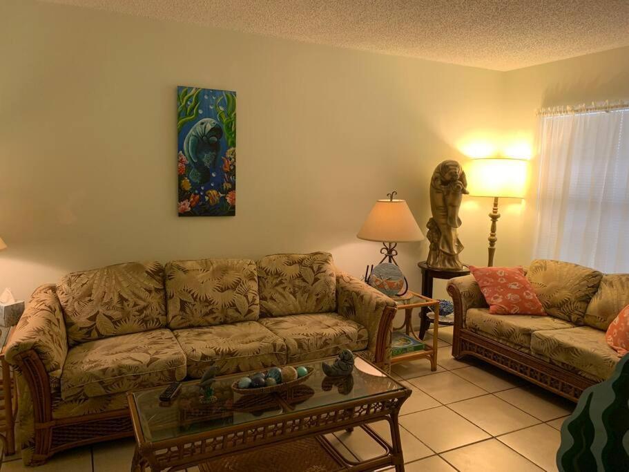 Professor Rousseau'S Manatee Bay Apartment คริสตัลริเวอร์ ภายนอก รูปภาพ